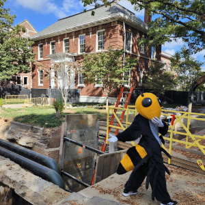 Buzz at Harrison Square Construction