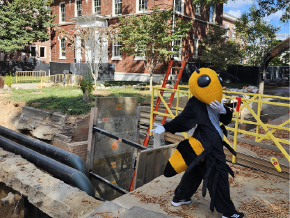 Buzz at Harrison Square Construction