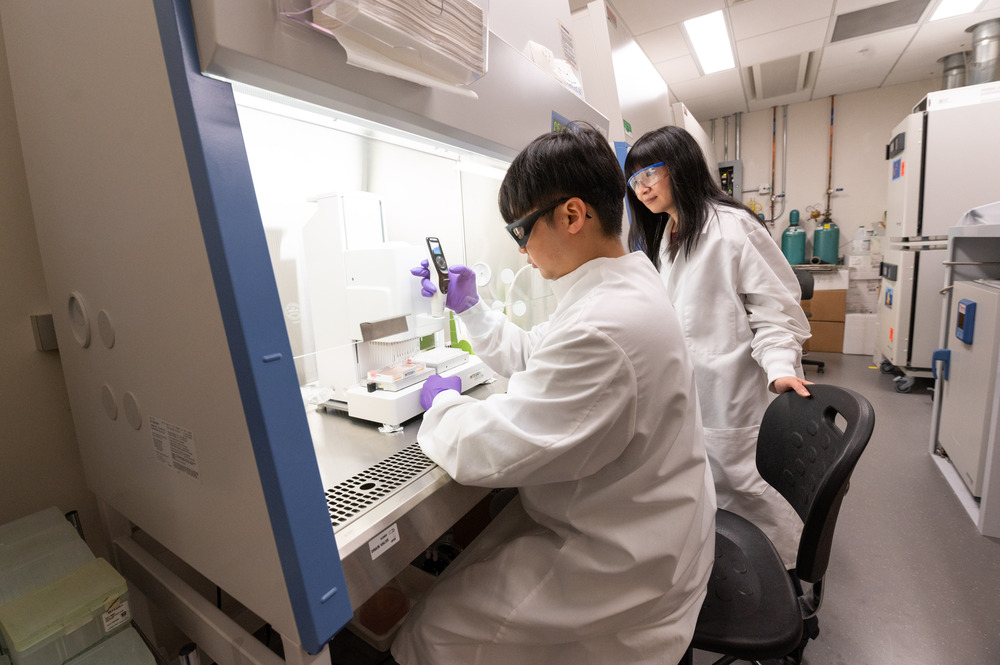 image of two scientists working at a hood in a lab