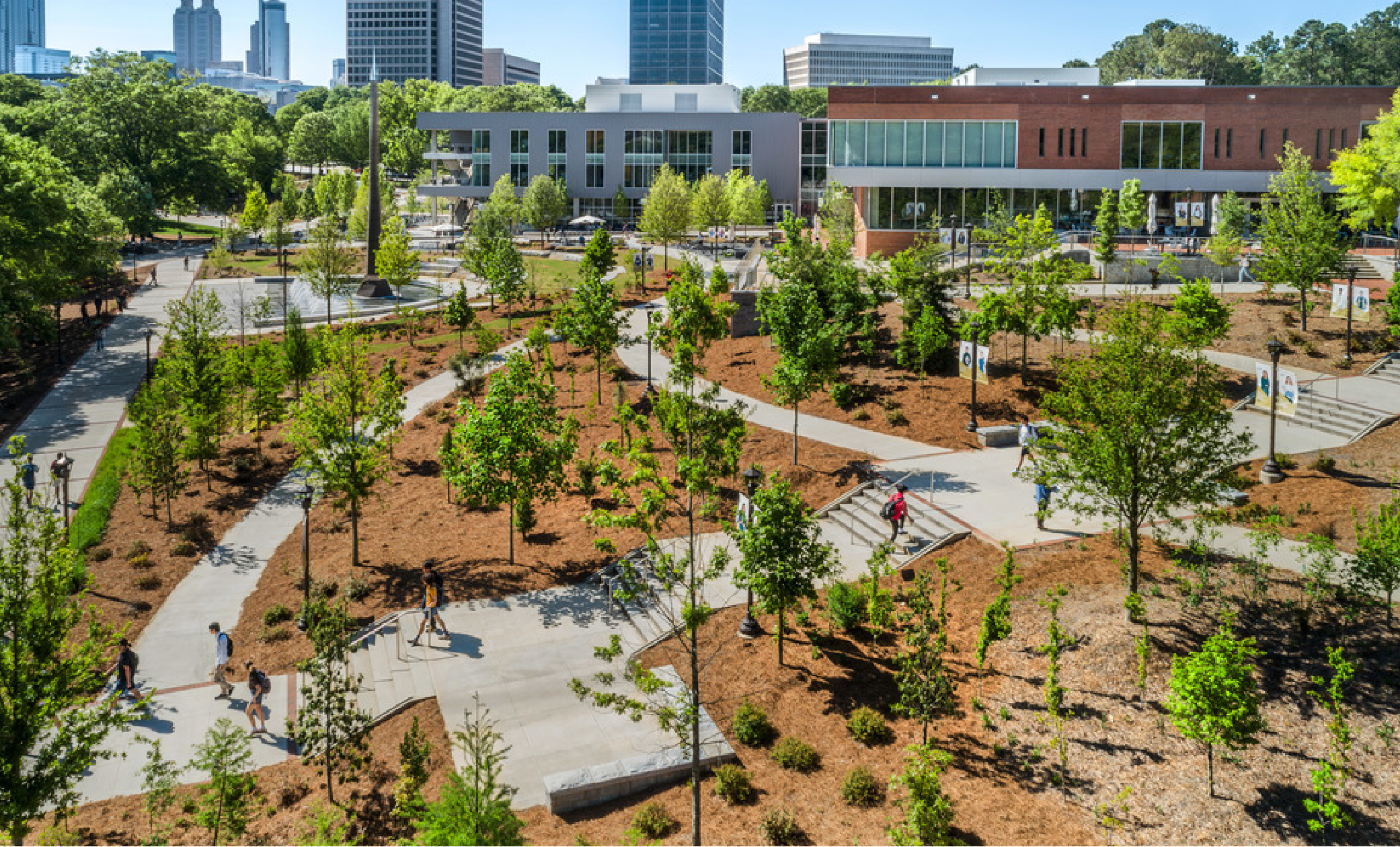 Trees near the student center