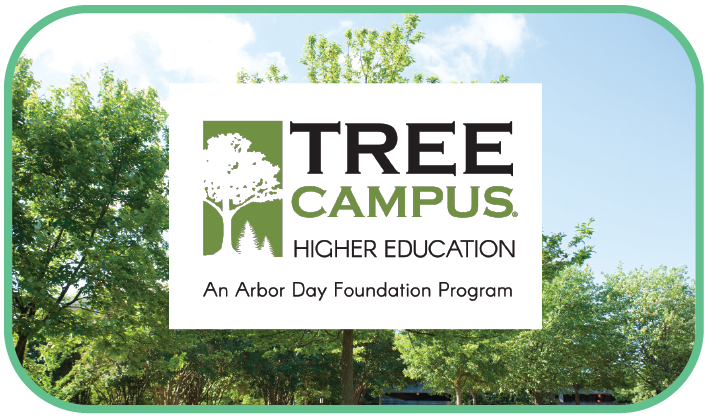 Tree Campus USA from Arbor Day Foundation