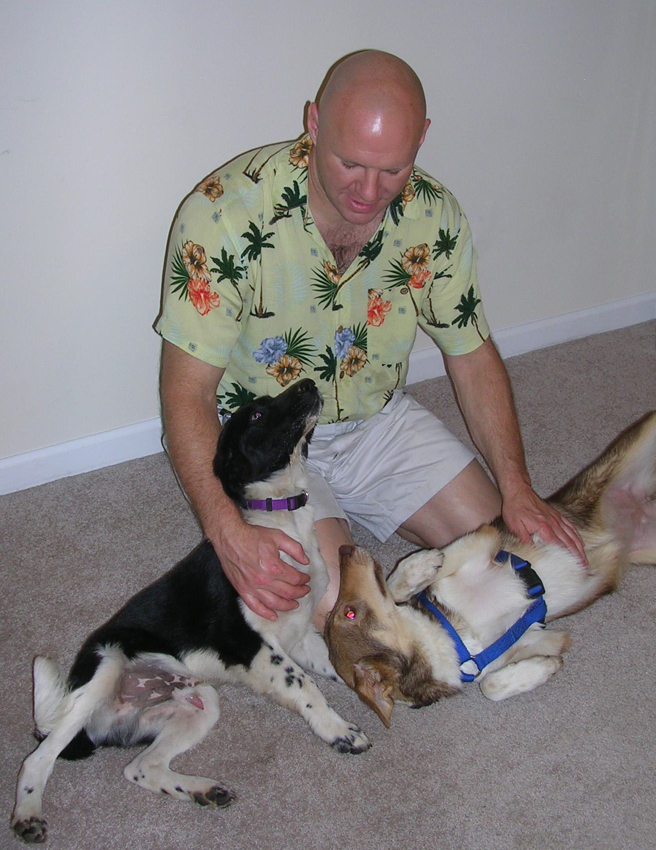 Michael Leasure with two of his rescue dogs.