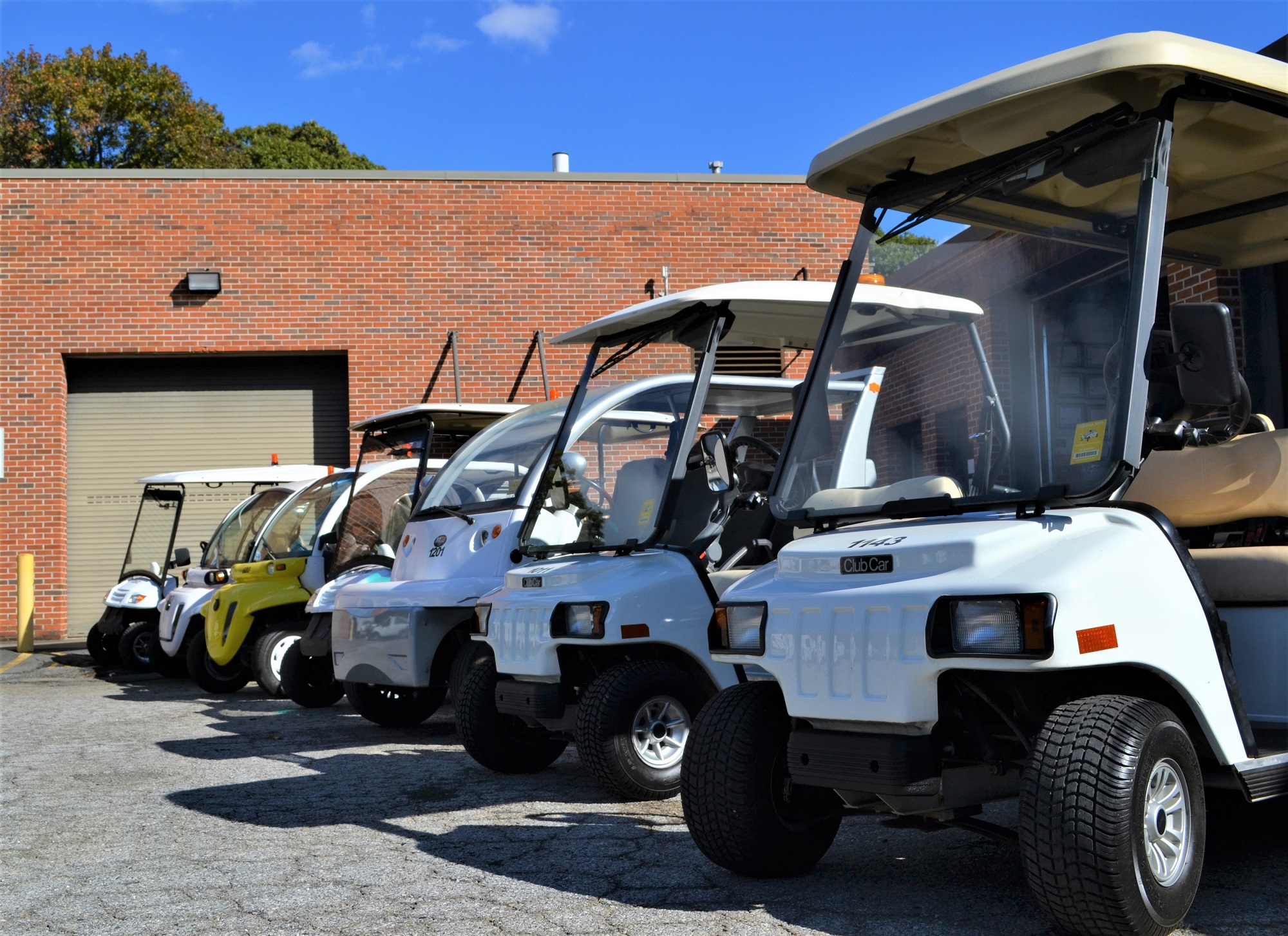 Golf Cart Fleet