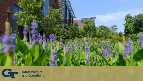 Georgia Tech Background- Spring