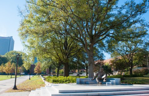 Trees around Einstein Statue