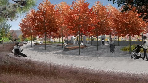 Eco-Commons render of contemplative grove