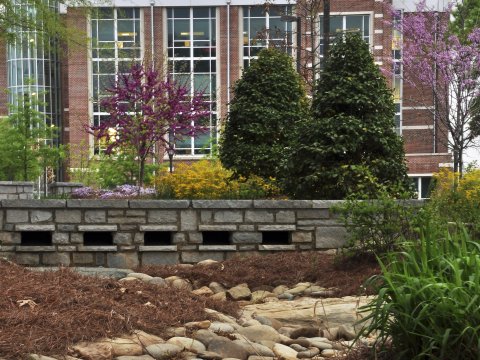 Georgia Institute of Technology Recognized for Its Bee-Friendly Practices Georgia Institute of Technology Recognized for Its Bee-Friendly Practices